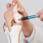Sụn tăng trưởng tác động đến chiều cao như thế nào?
