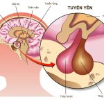 8 cách kích thích tuyến yên để tăng chiều cao