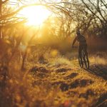 Đạp xe có giúp tăng chiều cao không?